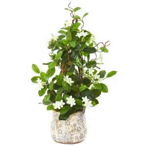 25" Stephanotis Artificial Climbing Plant in Decorative Planter