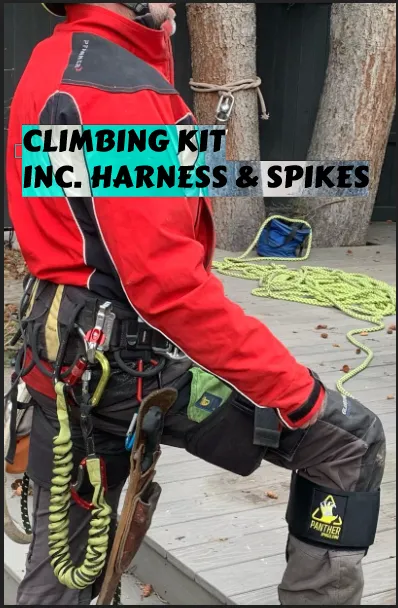 Arbormaster Professional Climbing Kit