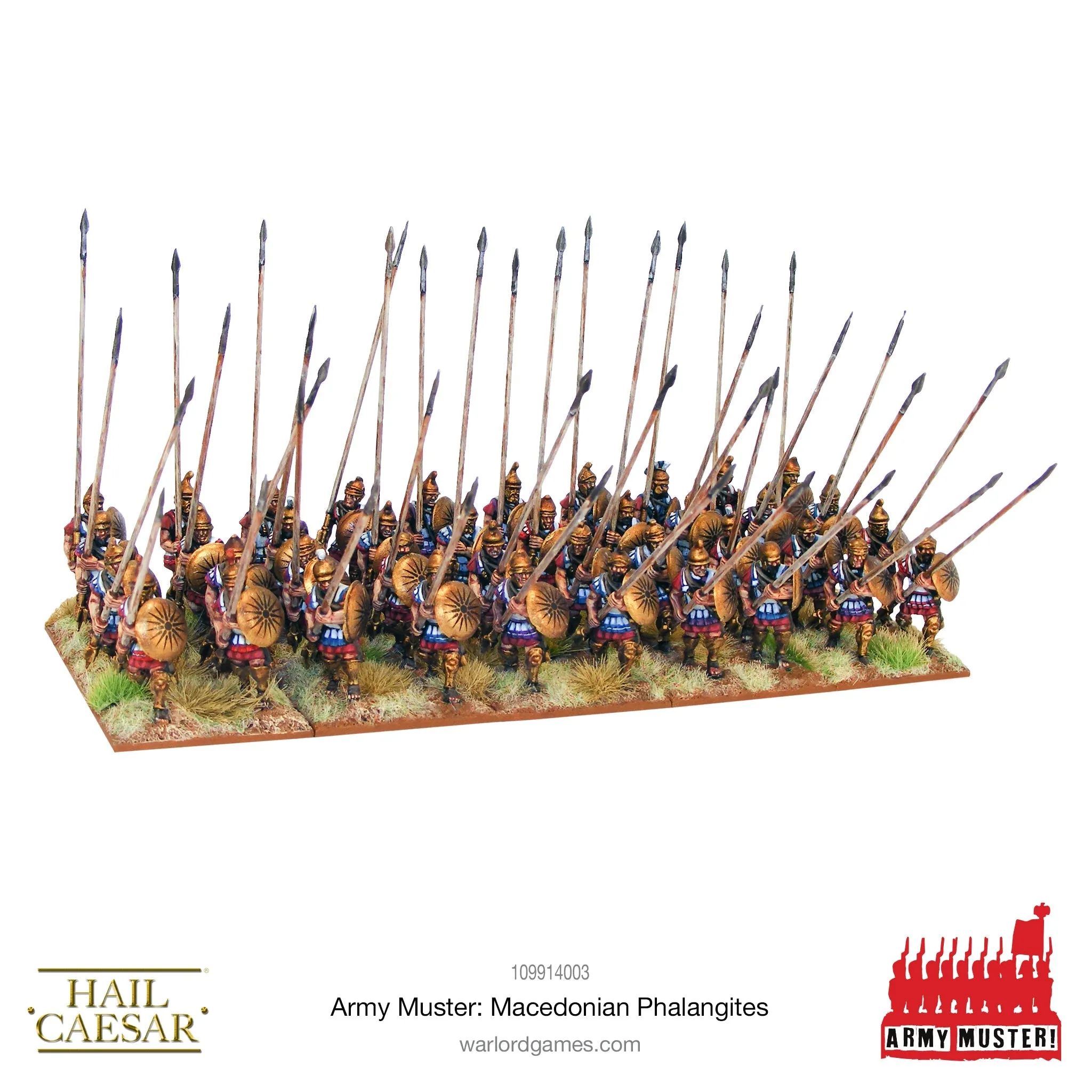 Army Muster: Macedonian Phalangites