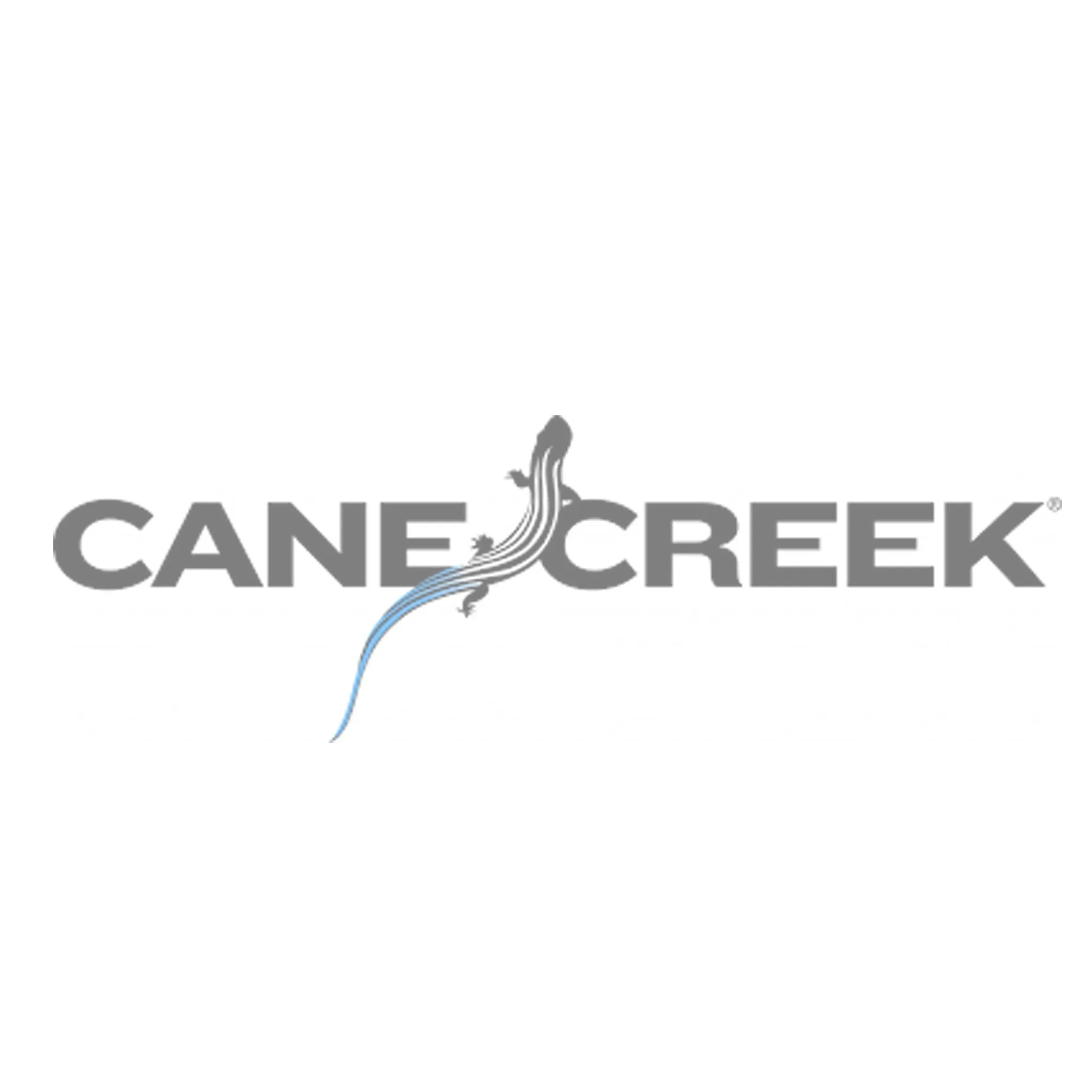 Cane Creek DB Air IL