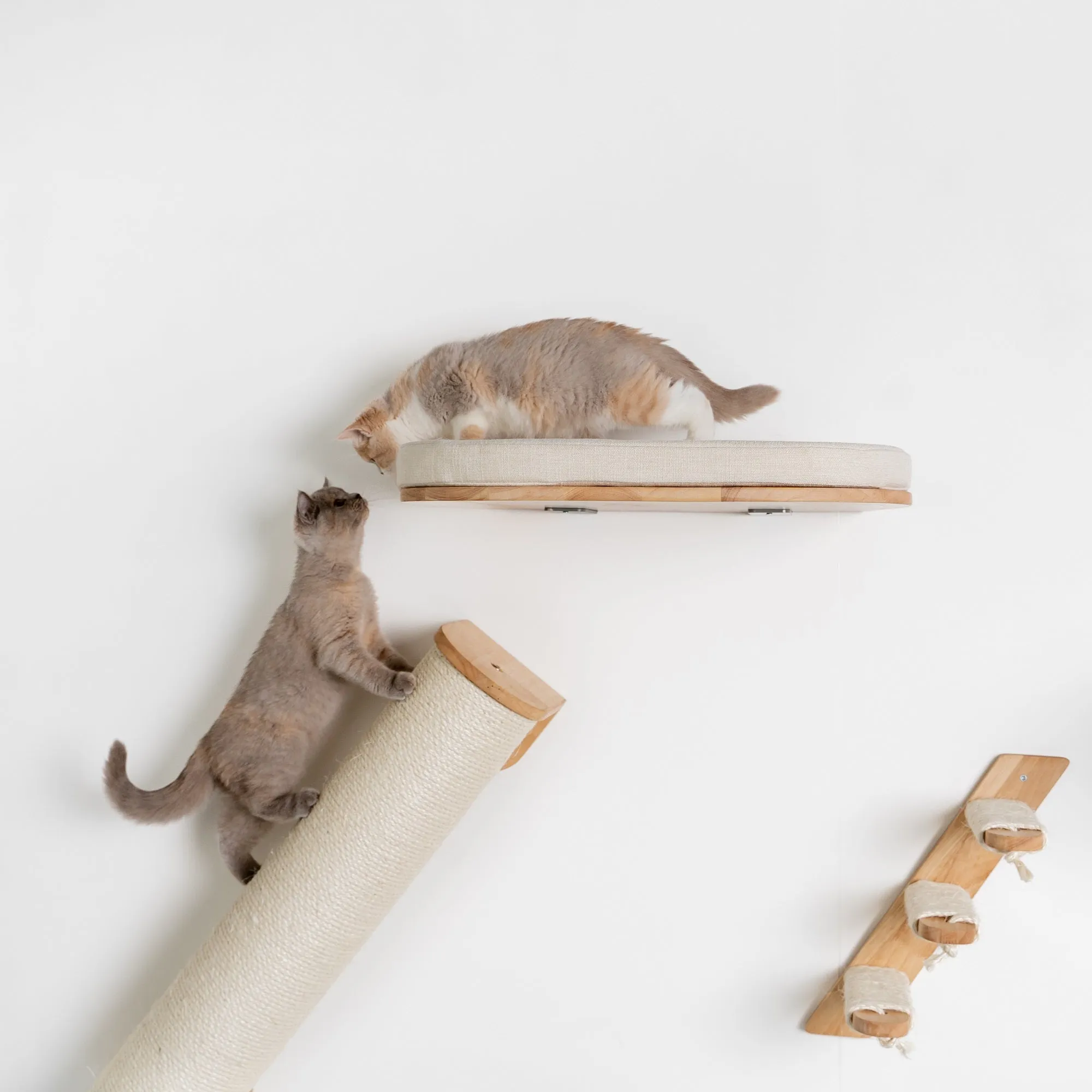 Cat Climbing Wall - Sisalpole XXL (Beige)