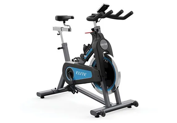 HORIZON IC7.9 INDOOR CYCLE