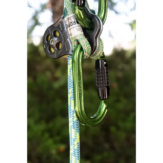 NOTCH ABSOLUTE OVAL CARABINER