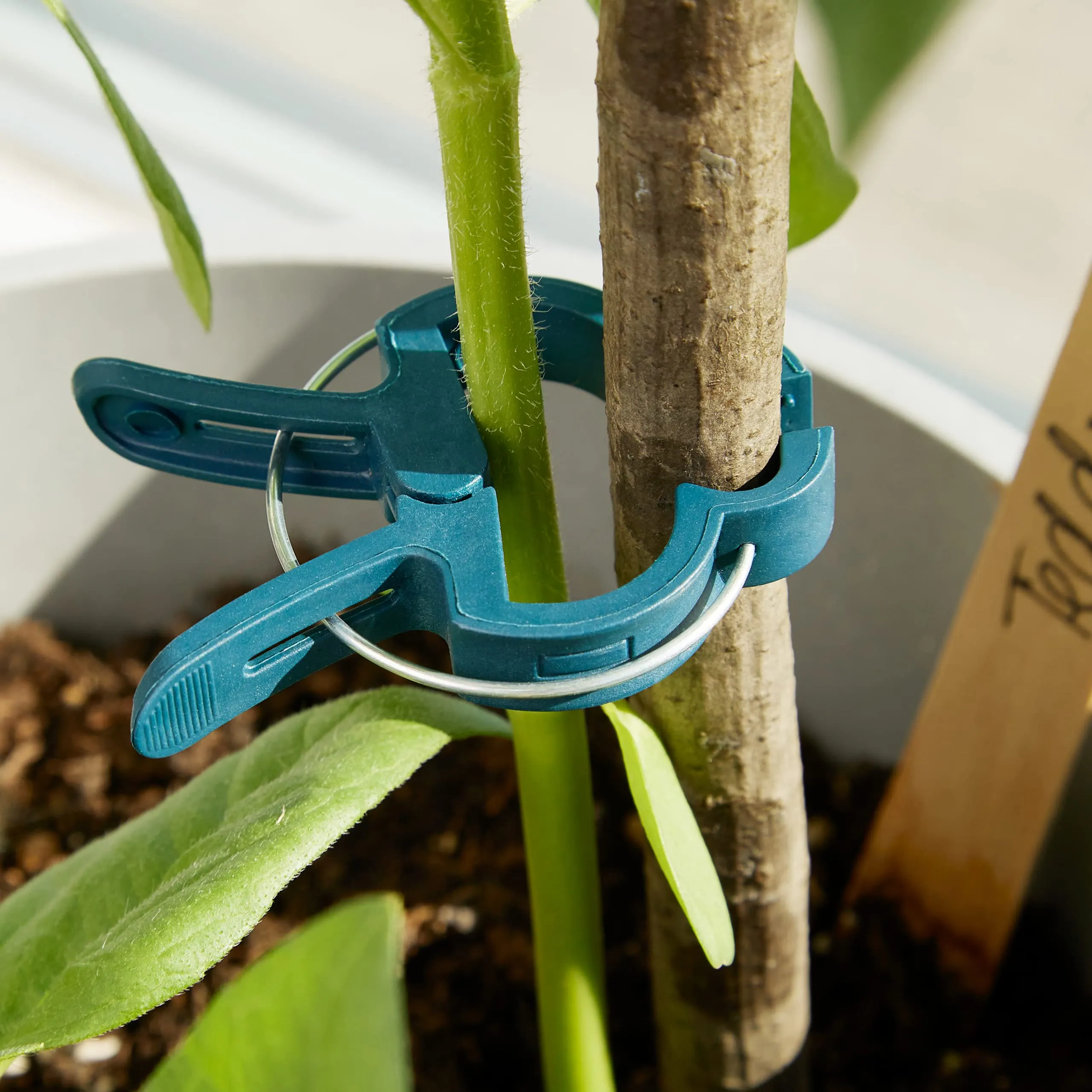 Plant Clips: 20x Plant Support Clips Size L  Climbing Plant Support For Climbing