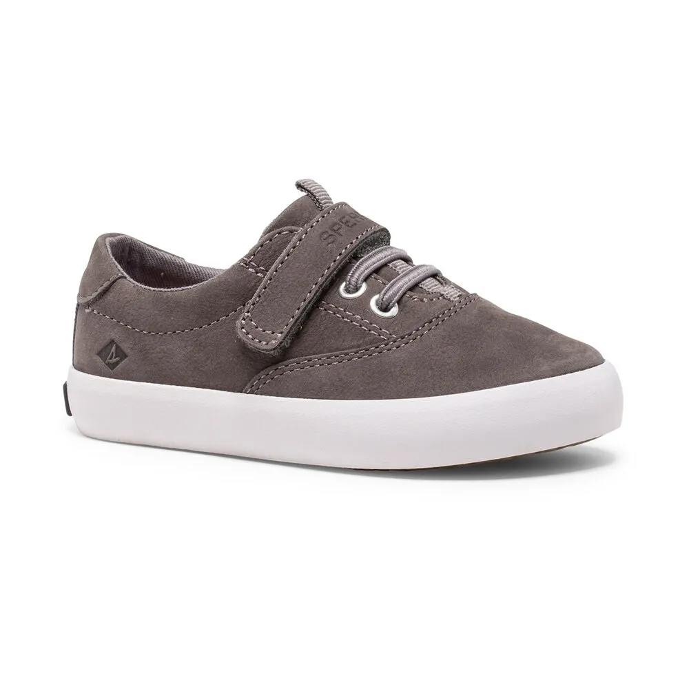 Sperry - Spinnaker Grey