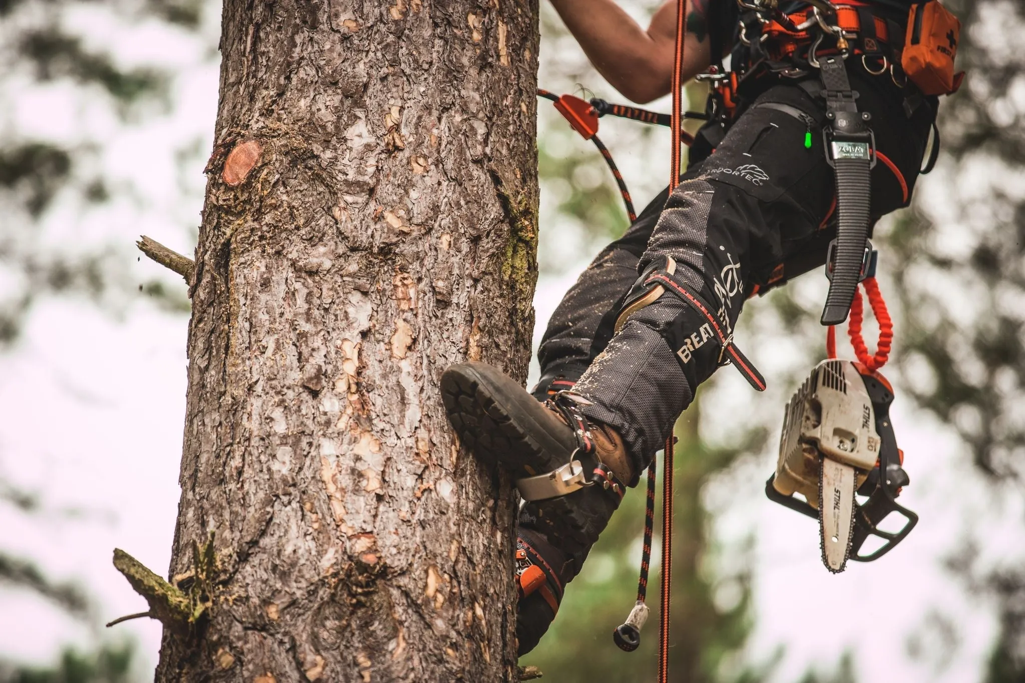 TH1003 Aluminum Tree Climbing Spikes